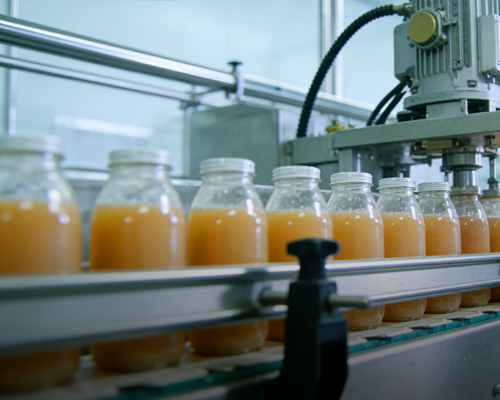 Food and beverage processing